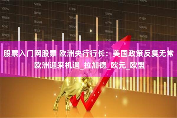 股票入门网股票 欧洲央行行长：美国政策反复无常 欧洲迎来机遇_拉加德_欧元_欧盟