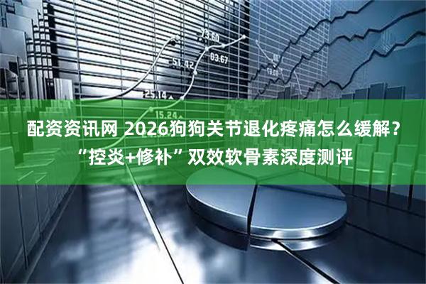 配资资讯网 2026狗狗关节退化疼痛怎么缓解?“控炎+修补”双效软骨素深度测评